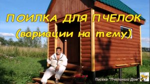 ПОИЛКА ДЛЯ ПЧЕЛ за 5 минут своими руками. ДЕШЕВО И СЕРДИТО ! САМОДЕЛЬНАЯ ПОИЛКА.