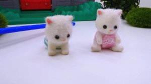 Харли Квин и животные - Мультики для детей