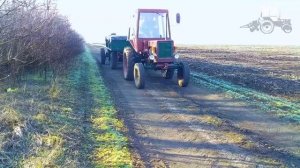 Сеялка зерновая СЗ-1,8 на Т25!/Seeder for mini tractor!