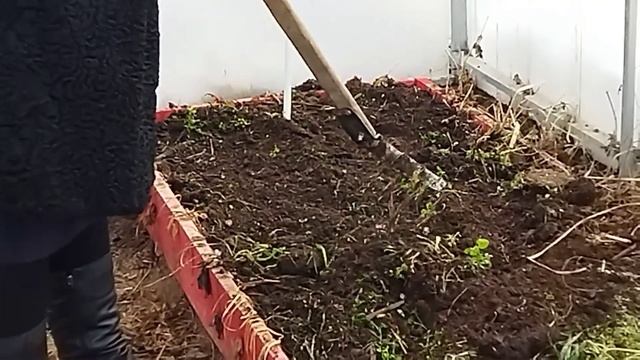 РЕДИСОЧКА к 1 МАЯ? ПРОЩЕ ПРОСТОГО...