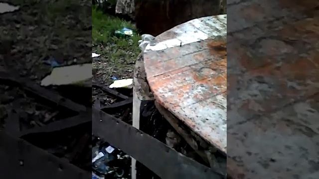 Делай добро и бросай его в воду смотреть онлайн