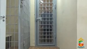 Задержали дебошира в аэропорту Толмачёво!
