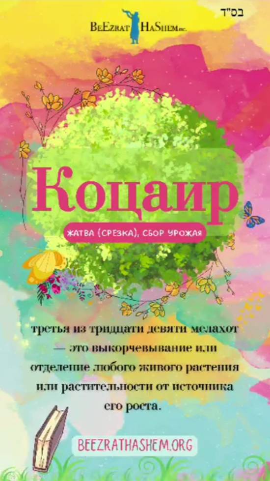 5️⃣ Коцаир 🌾 Жатва (срезка), сбор урожая (5)