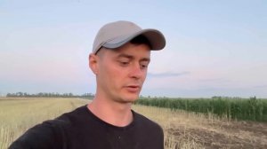 УБОРКА РАПСА. Хранить или продавать?