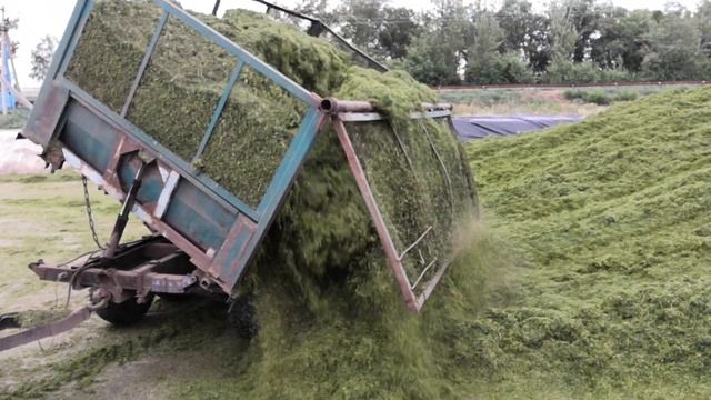 АО "ПЗ "Мелиоратор" заготовка сенажа смотреть онлайн