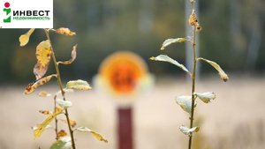 Уютный посёлок в лесу Улыбка-3 в Заокском районе