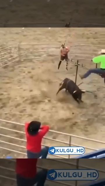 video 2020 08 29 21 58 10 смотреть онлайн