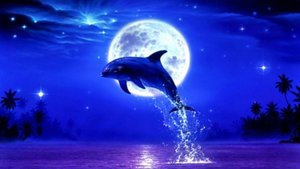 Джозеф Редьярд Киплинг: "ЗАПОВЕДЬ" под пьесу: "Восхищение дельфинов".  Читает — Елена Артёменко.