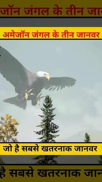 Amazon forest|अमेजॉन जंगल के 3 सबसे खतरनाक जानवर 🐅|#short смотреть онлайн