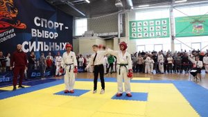 XVI Открытое первенство Школы боевых искусств Дмитрия Яковлева по тхэквондо