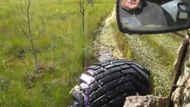 По мху. смотреть онлайн