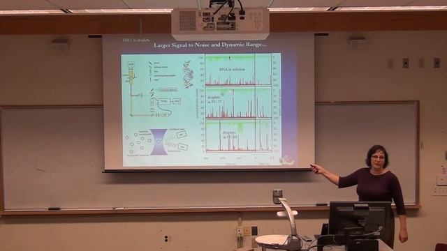 Single-Molecule-Sensitive Fluorescence Measurement of RNA in Attoliter Droplets смотреть онлайн