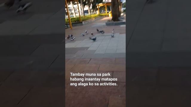 Ganap habang nsa Park #ofwlife #ofwhongkong #enjoylife #thankfulgratefulblessed @angelica1.2 смотреть онлайн