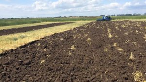 Культиватор сплошной обработки КСО - 6 под МТЗ - 1221