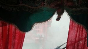 Сею сеялкой" Берестье"!Чудо агрегат!