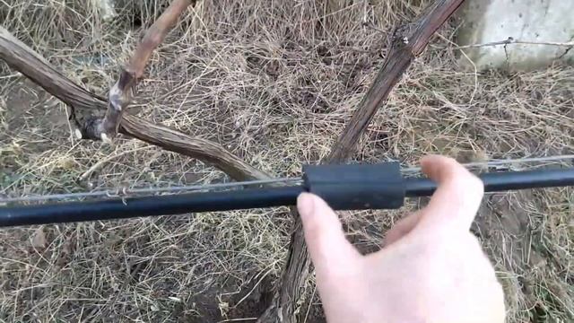 Вариант крепления капельной трубки