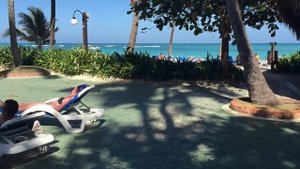 Пунта Кана январь 2016 Barcelo Dominican Beach 4*  IДоминикана,  Пунта Кана,