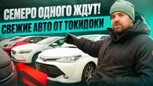 Семеро одного ждут. Свежие авто от Токидоки