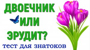 ДВОЕЧНИК ИЛИ ЭРУДИТ? тест по русскому языку #русский_язык