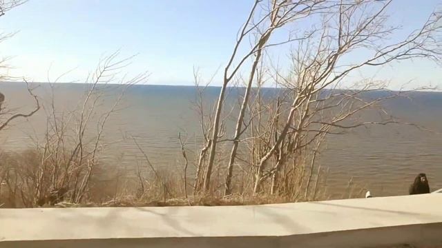 B окружении среды смотреть онлайн