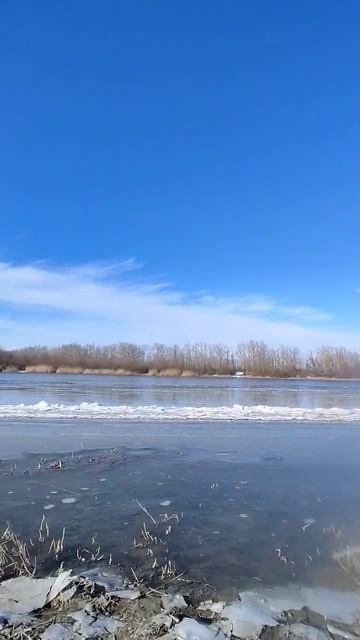 дон батюшка смотреть онлайн