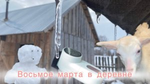 Киров: √Мчим в деревню/Женский праздник/ Обзор машинки от катышек