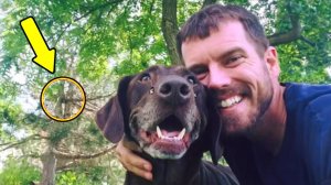 Мужчина сделал последнее селфи со своей собакой и побледнел, увидев фотографию!