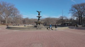 🗽 Нью-Йорк - прогулка по солнечному центральному парку в конце января (2025)