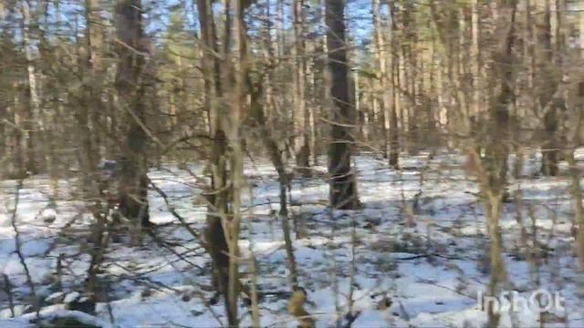 12 февраля 2023 г. смотреть онлайн