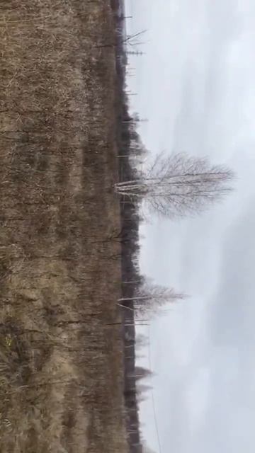 Участок ИЖС Самохваловка Уфа смотреть онлайн