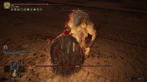 Апостол божественной кожи (Звёздные пустоши) [93] Elden Ring