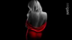 Club des Belugas - Tarrango