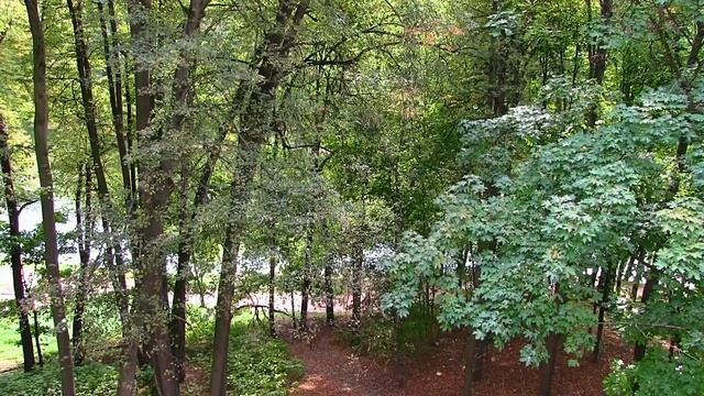 Осеннее настроение. Часть 4. #Short video. смотреть онлайн