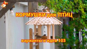 Кормушка для птиц своими руками как сделать пошагово (103) 🪚🪛🔨 Идеи для дачи и сада❣️