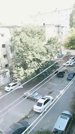 Белый,чёрный,зелёный,голубой,красный,жёлтый,розовый. #shorts :)    :3