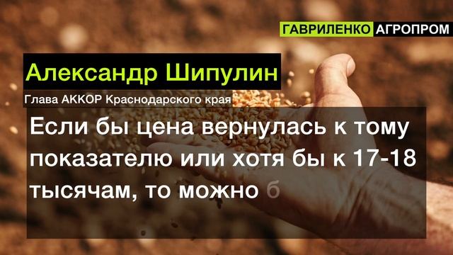 "Хуже еще не было", - на Юге завершается уборка зерна. Справедливо ли жалуются фермеры? смотреть онлайн