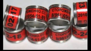 Кольца для голубей