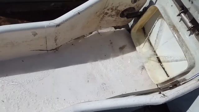 Зарыбление карпом водоема д.Заборье смотреть онлайн