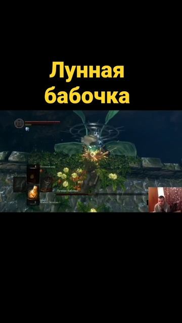 Лунная бабочка #darksouls #darksoulsremastered #eldenring #darksouls #DS смотреть онлайн