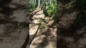 Узкая улочка и часовня Параскевы Пятницы между Ныробом и Искором Пермского края