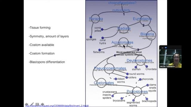 651105 ecosystem animal and plant community Part3
