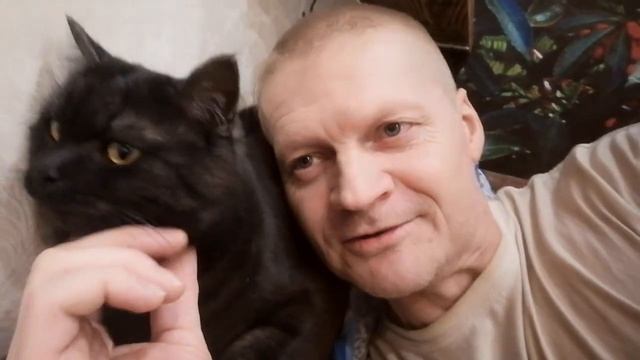 котяры щекотки боятся смотреть онлайн