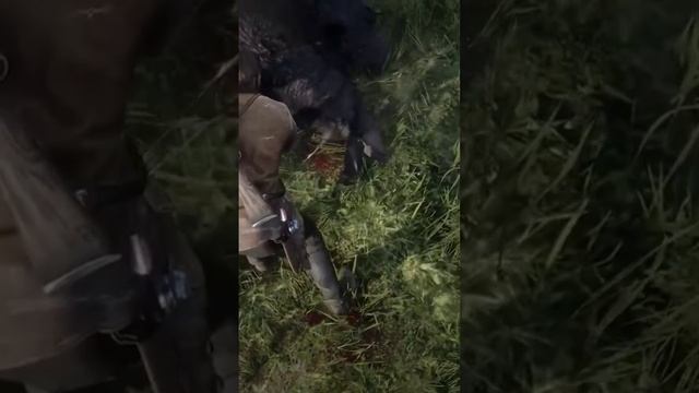 (NSFW) #arthurmorgan hunting bison with Charles| #rdr2 #nfsw #gaming #youtube #twitch #live #fyp #f смотреть онлайн