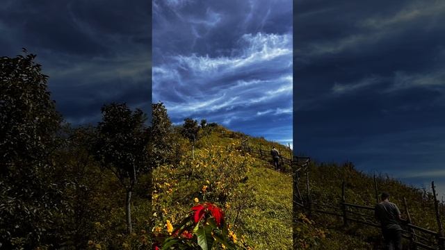 4 декабря 2023 г. смотреть онлайн