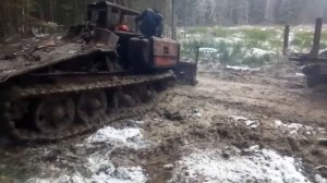 Трелевшик т55 в лесу