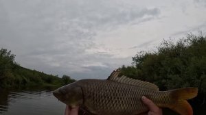 Я НЕ ОЖИДАЛ ЧТО НАКРОЮ ТАКИХ КРУПНЯКОВ!