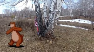 МЕДВЕДЬ в лесу