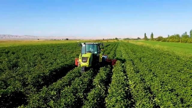 Traktor CLAAS AXOS 340 HC смотреть онлайн