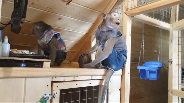 Время есть? - поговорим! Ч.20