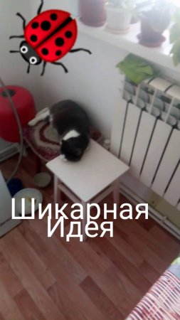 Остался сахар и хлеб не беда рецепт